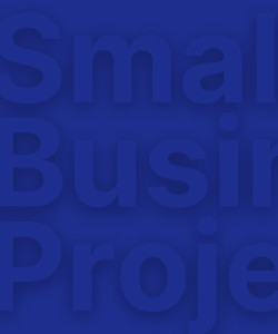 Small Business Project