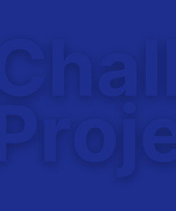 Challenge Project