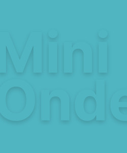 Mini-onderneming