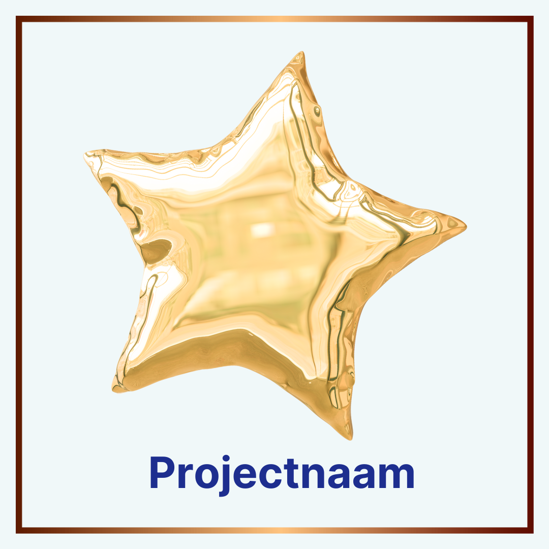 Projectnaam