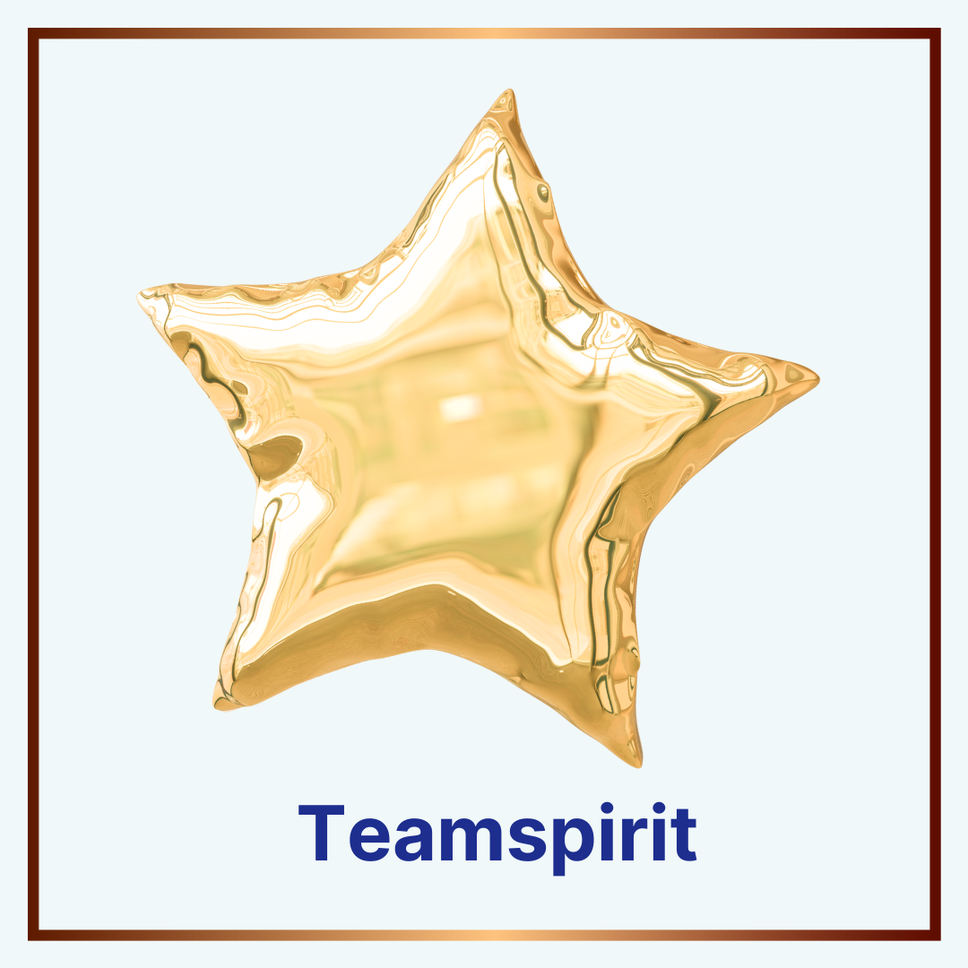 Teamspirit